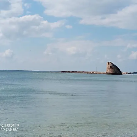 Mamalina Torre Pali